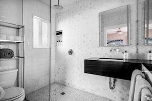 Modern Bathroom with Sleek Gray Finishes