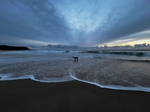 Strand