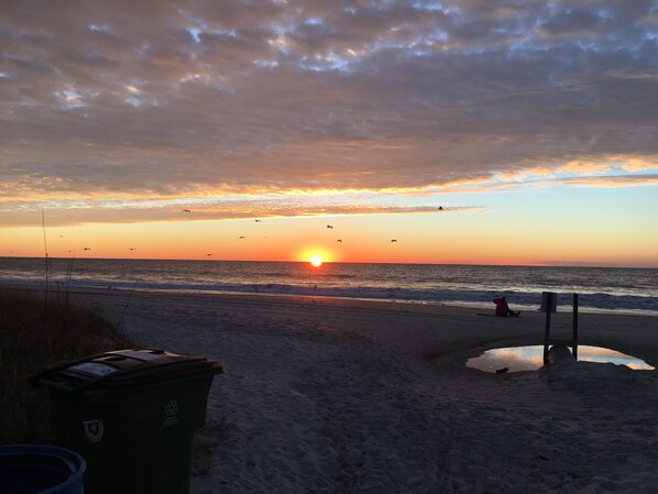 Beach