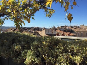 Magnifique terrasse fleurie avec vue sur le coeur historique et la Ste Victoire (3)