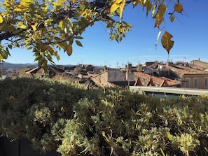 Magnifique terrasse fleurie avec vue sur le coeur historique et la Ste Victoire (3)