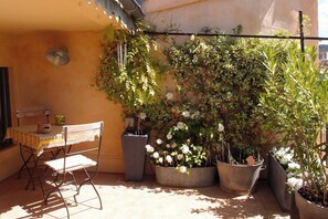 Magnifique terrasse fleurie avec vue sur le coeur historique et la Ste Victoire (2)
