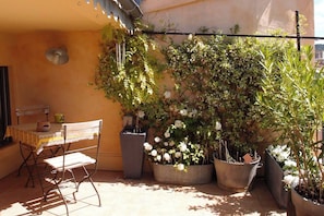 Magnifique terrasse fleurie avec vue sur le coeur historique et la Ste Victoire (2)