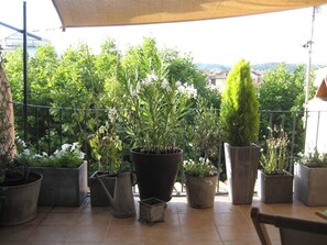 Magnifique terrasse fleurie avec vue sur le coeur historique et la Ste Victoire (1)