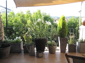 Magnifique terrasse fleurie avec vue sur le coeur historique et la Ste Victoire (1)