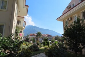 The apartment and gardens.