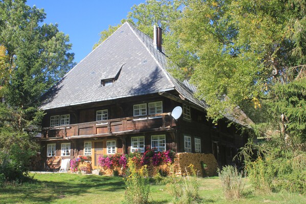 Exteriör