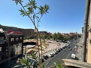 Vista desde la propiedad