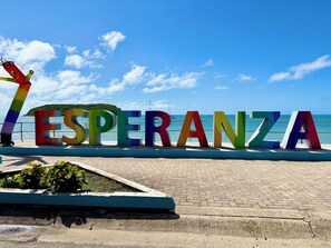 Welcome to Esperanza :)