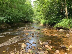 Close up view of the beautiful stream running through the backyard of our property