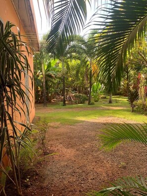 Garden 3