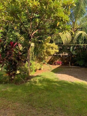 Garden 4