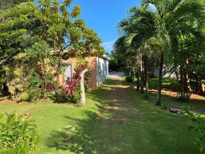 Garden 2