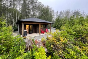 Outdoor view of cabin with BBQ and outdoor sitting area.