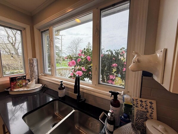 Kitchen views to Horner Park.