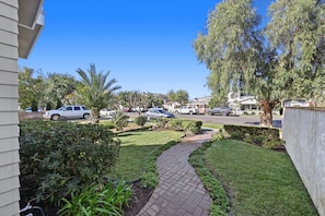 Front Yard