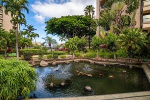 Koi pond