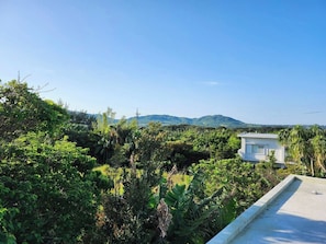 The surrounding area is lush with greenery.