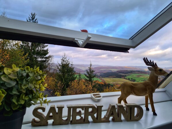 View from property