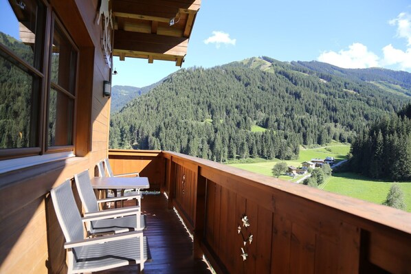 Patio / Balcony