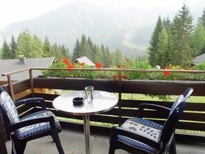 Patio / Balcony