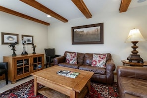 Open Living Area with Sofa Bed