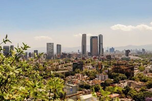 Imagen general