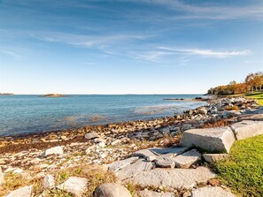 Rocky beach area