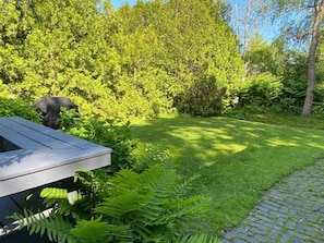 The semi-private back yard at the cottage