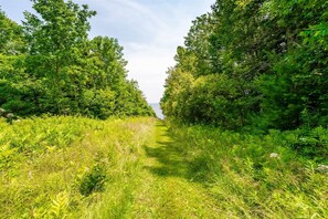 Path to Beach