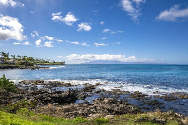 Napili Point Resort