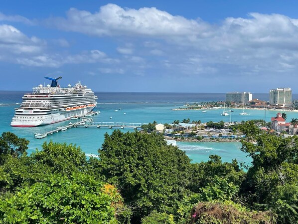 Cruise ship sighting (view from living room)
