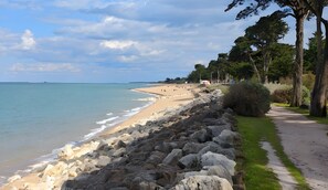 Strand