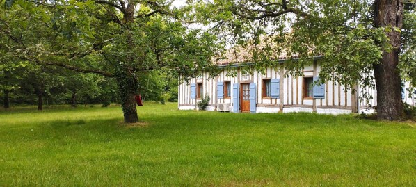 Exteriör