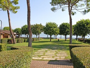 Pflanze, Himmel, Eigentum, Baum, Schatten, Grundstueck, Strassenbelag, Vegetation, Urban Design, Freizeit