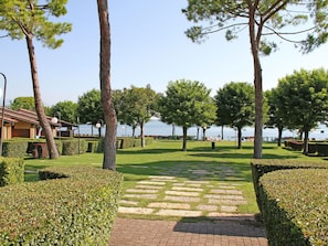 Pflanze, Himmel, Eigentum, Baum, Schatten, Grundstueck, Strassenbelag, Vegetation, Urban Design, Freizeit