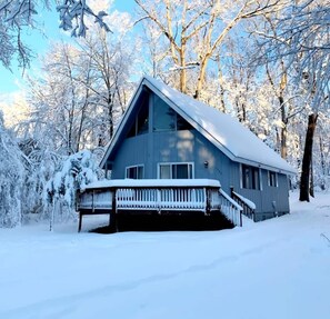 Exteriör
