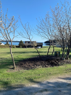 Boendeområde