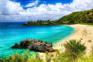 Waimea Bay Beach Park