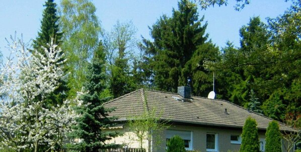 Stugans exteriör [sommar]