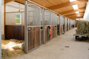 Ausstattung und Service des Ferienhauses