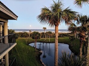 view from balcony