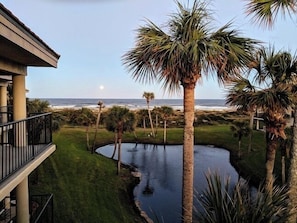 view from balcony