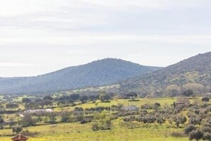 Vistas desde 1ª planta