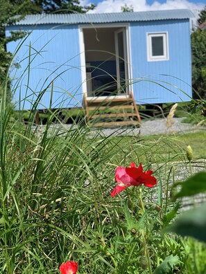 Apple Tree Hut (1)