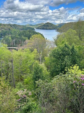 View from kitchen window !