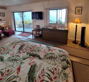 King bed and TV