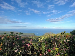 View from lanai
