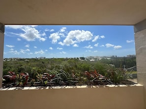 Vue depuis l’hébergement