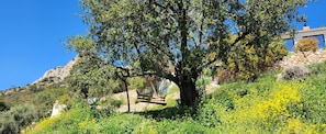 Boendeområde